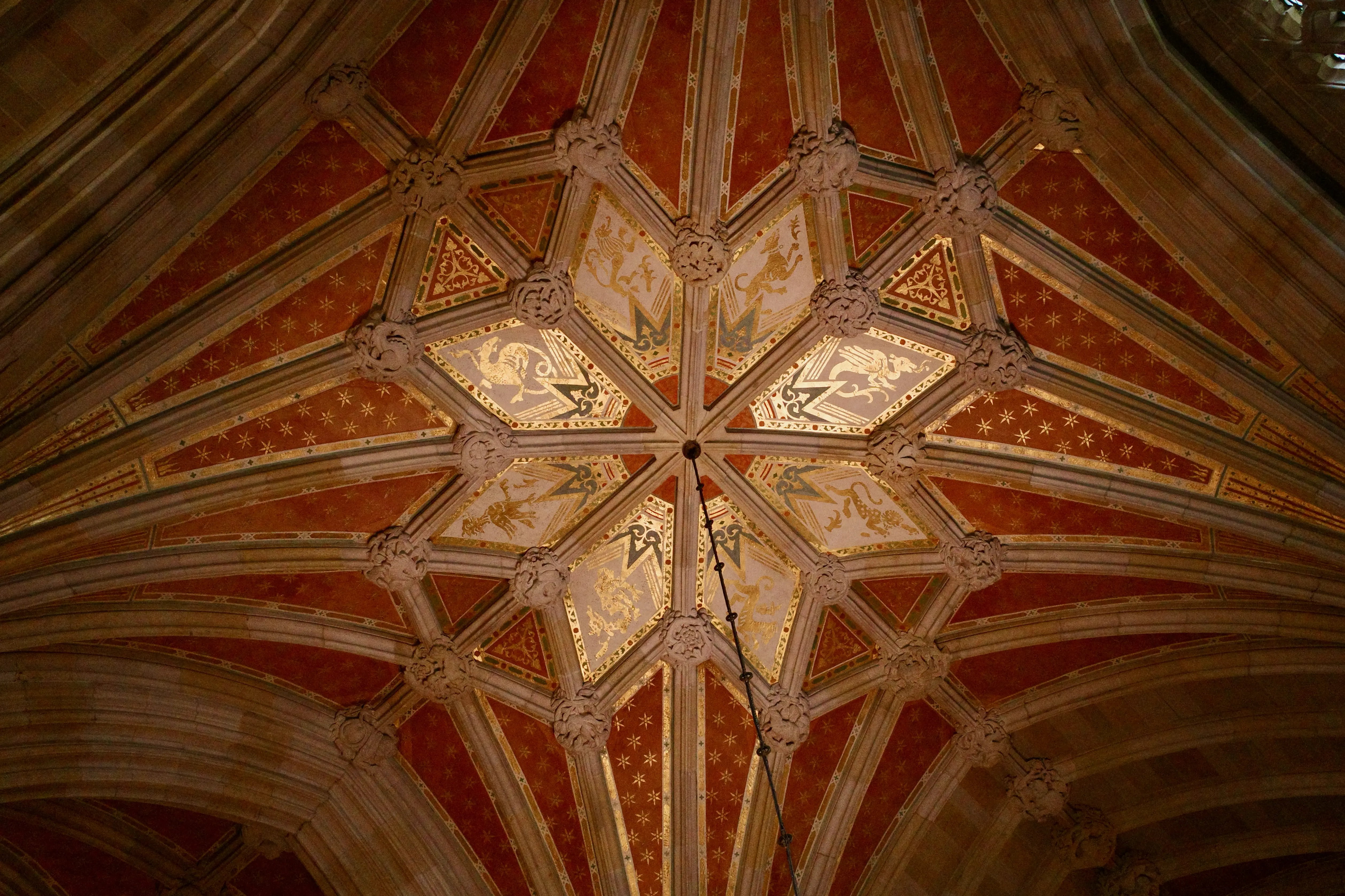 Photo from new haven